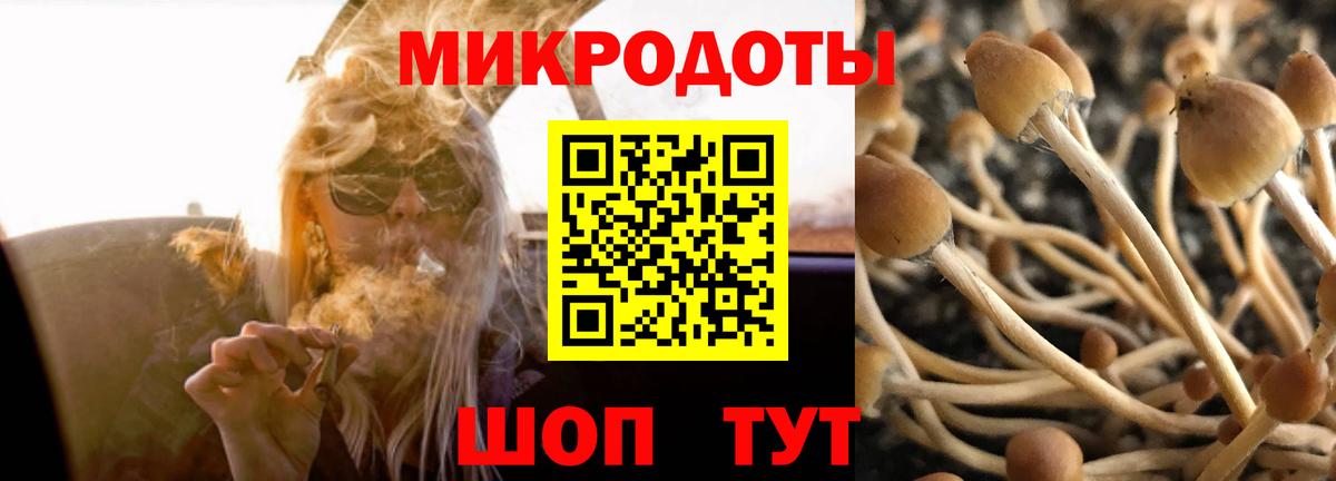 Псилоцибиновые грибы MAGIC MUSHROOMS  Вход с VPN  Ачинск 